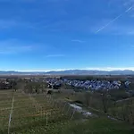 Gloeckler * Freiburg im Breisgau